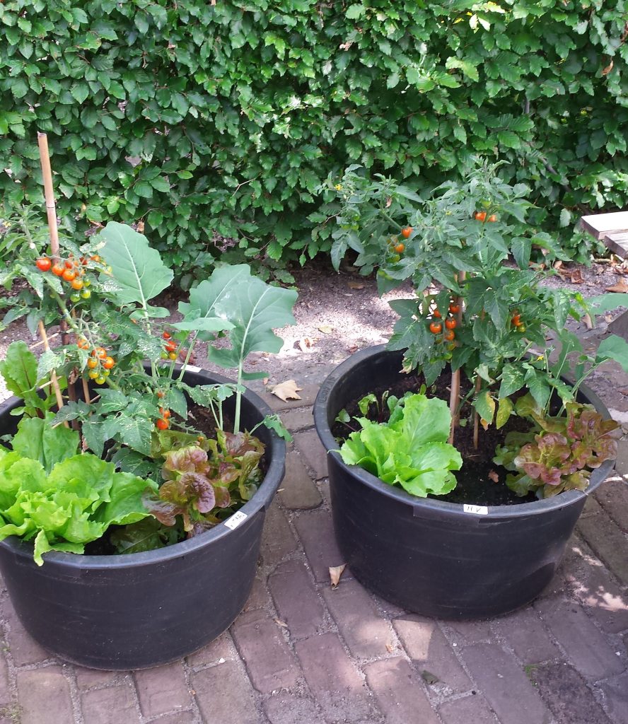 Links vitale grond en rechts gewone grond