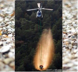 AA Vitale Zeeschelpenmix