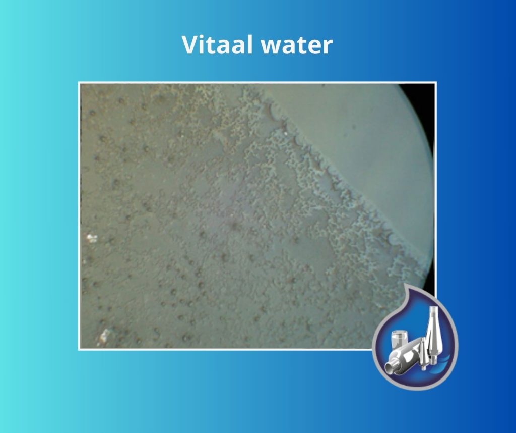 Vitaal water